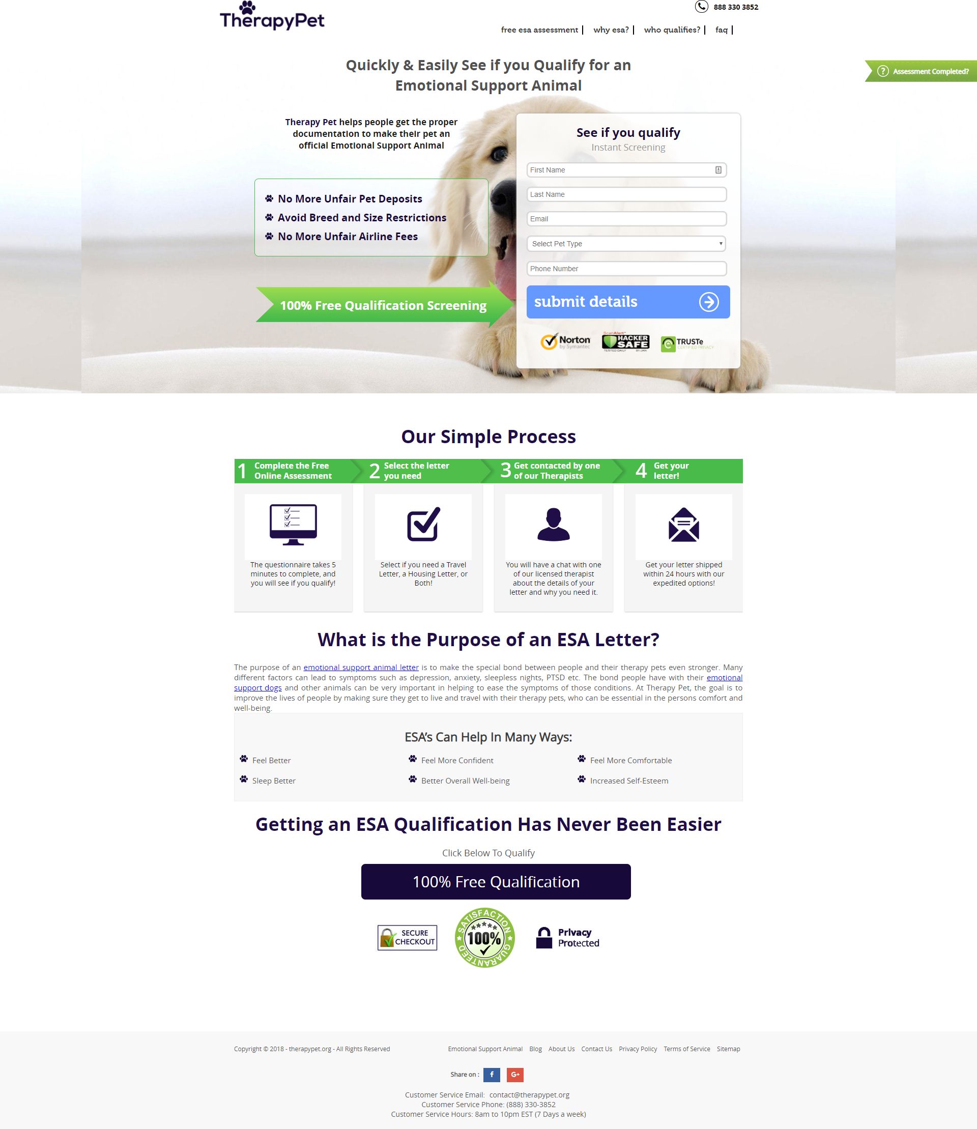 TherapyPet.org - Cross-Site Scripting Mitigation
