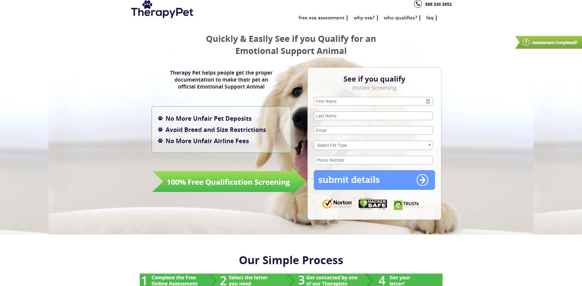 TherapyPet.org - XSS Mitigation
